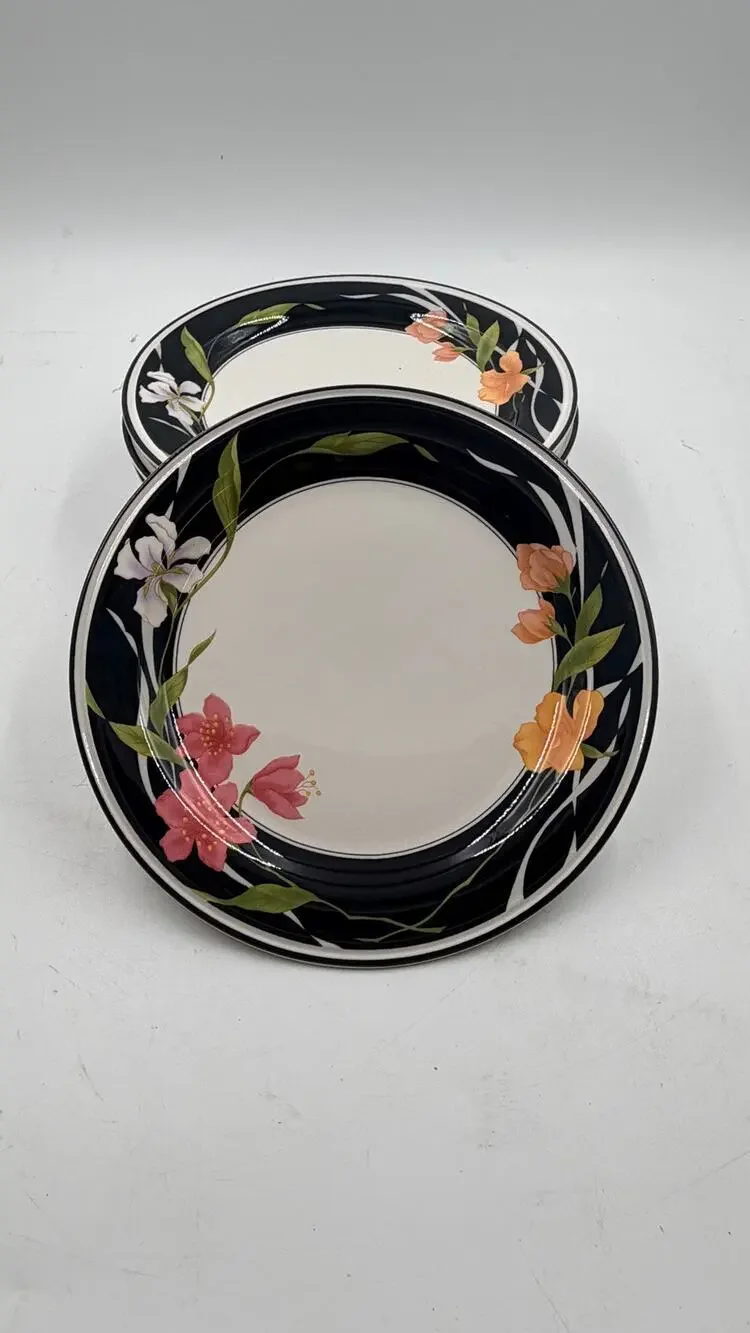 Sangostone 7 5/8” Salad Plate Sango #3665 Memories Set of 6